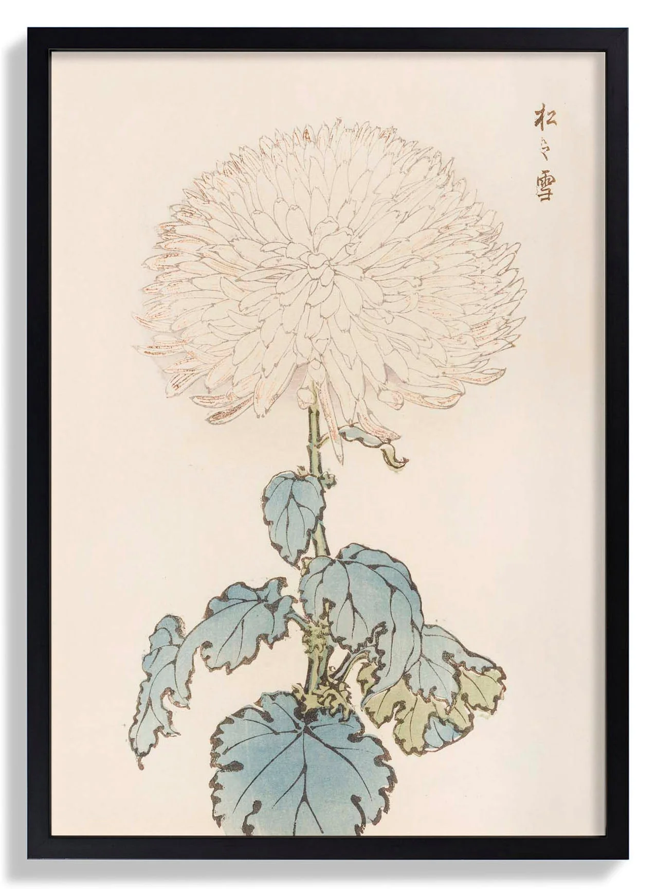 Keika hyakugiku Pl.19 by Keika Hosegawa - Image 7