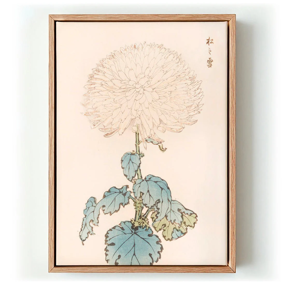 Keika hyakugiku Pl.19 by Keika Hosegawa