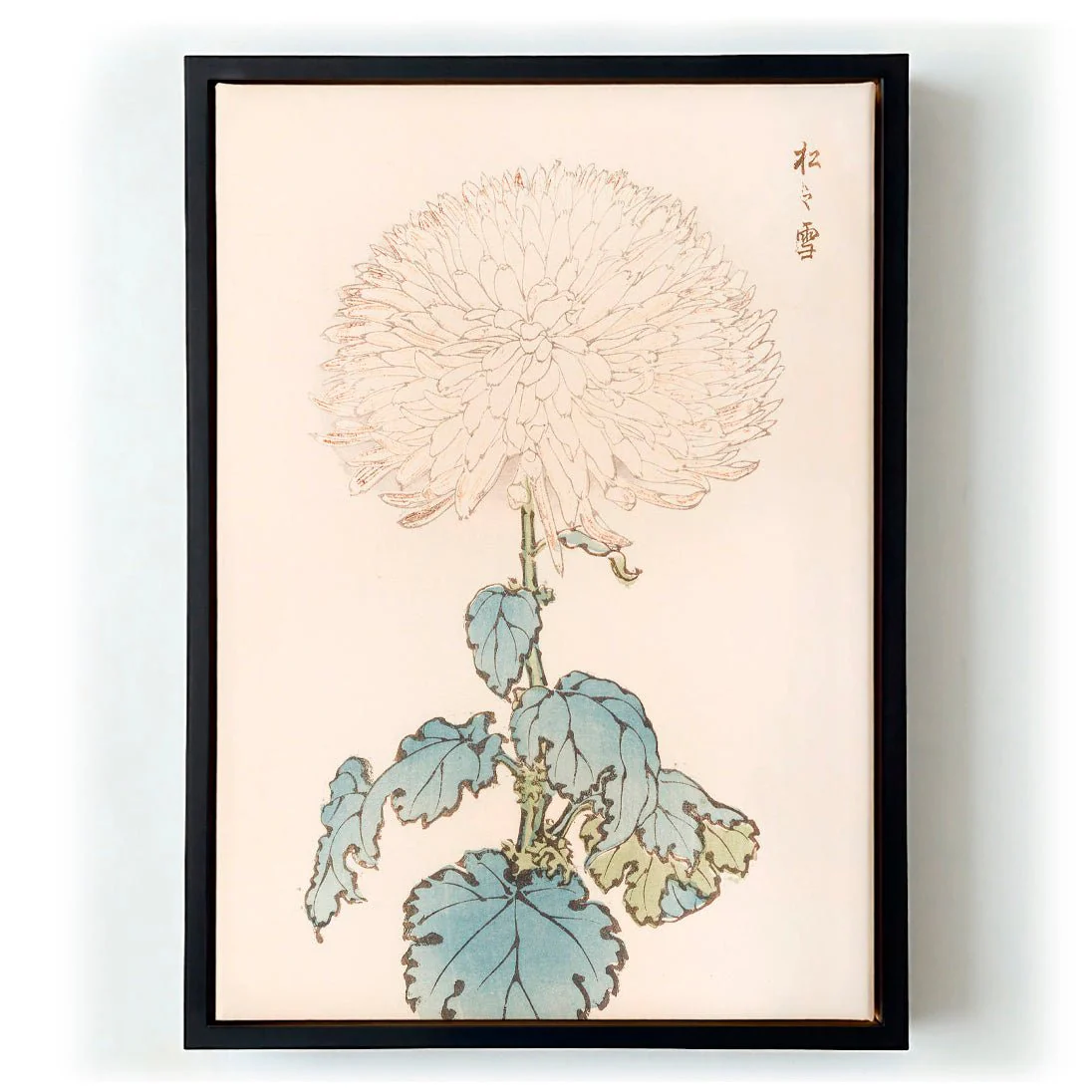 Keika hyakugiku Pl.19 by Keika Hosegawa - Image 5