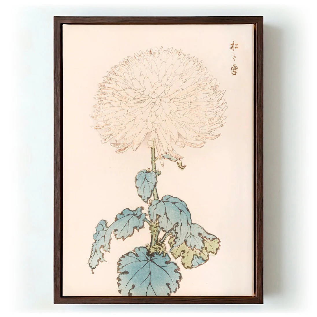 Keika hyakugiku Pl.19 by Keika Hosegawa - Image 6