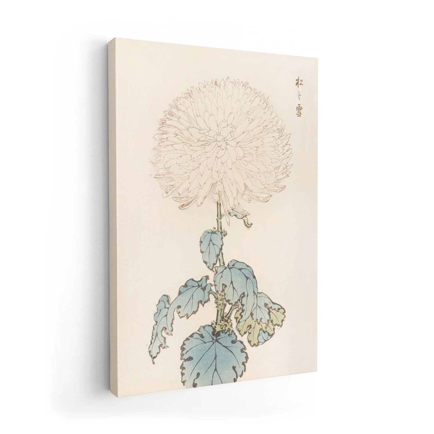Keika hyakugiku Pl.19 by Keika Hosegawa - Image 7
