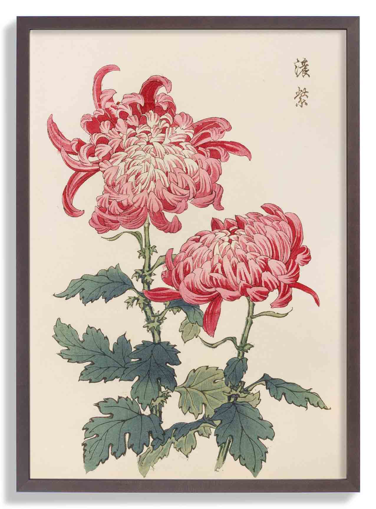 Keika hyakugiku Pl.23 by Keika Hosegawa - Image 6