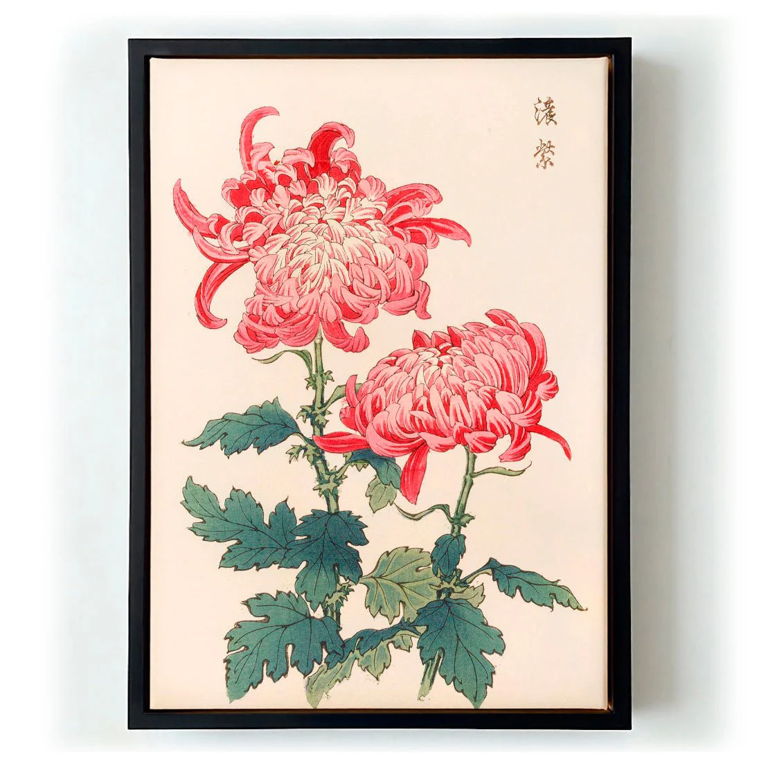 Keika hyakugiku Pl.23 by Keika Hosegawa - Image 5