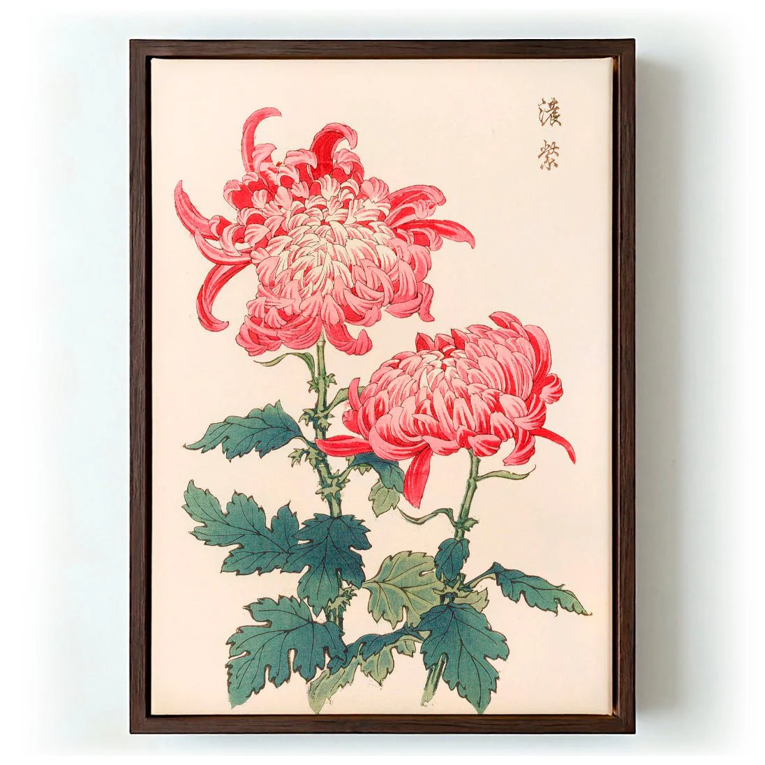 Keika hyakugiku Pl.23 by Keika Hosegawa - Image 6