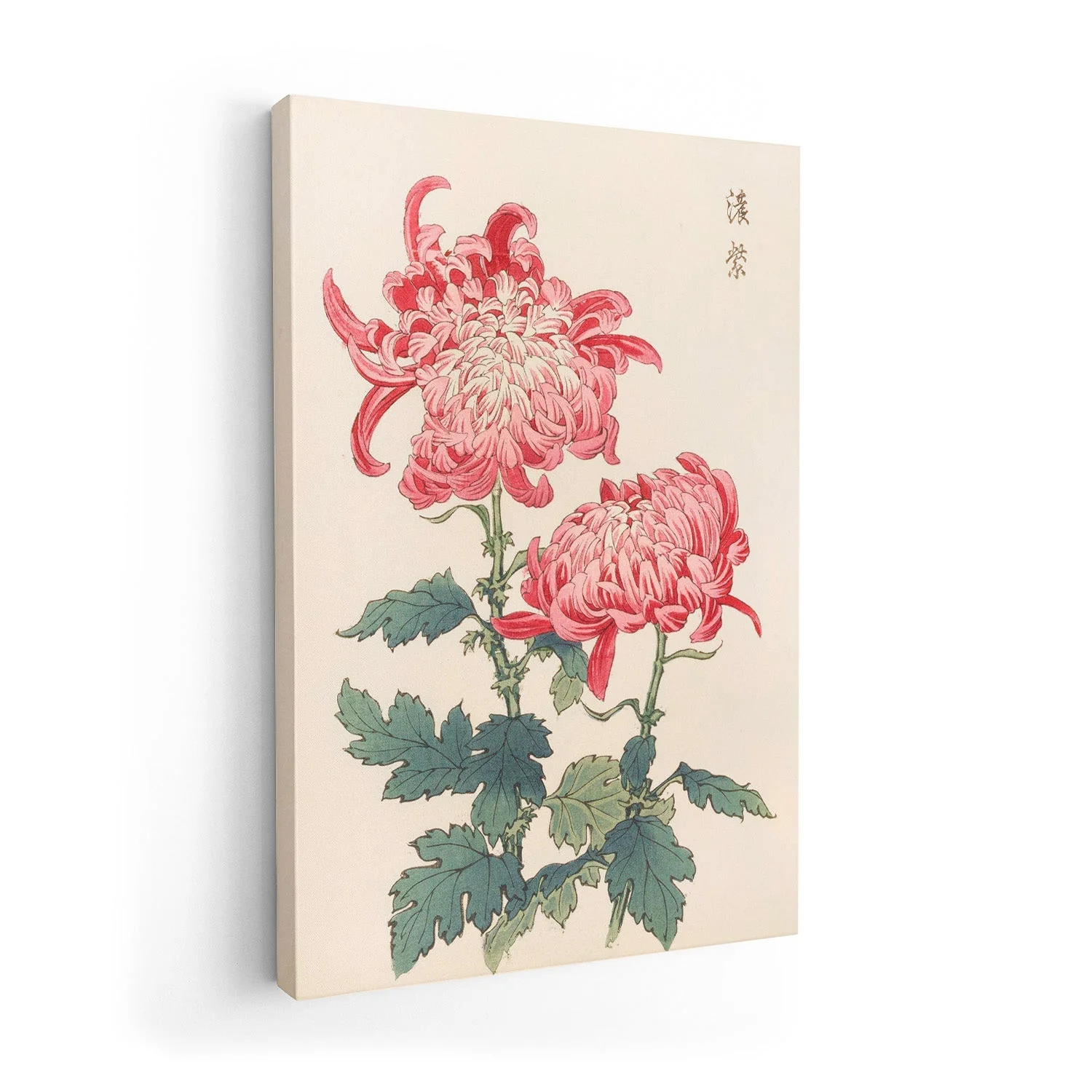 Keika hyakugiku Pl.23 by Keika Hosegawa - Image 7