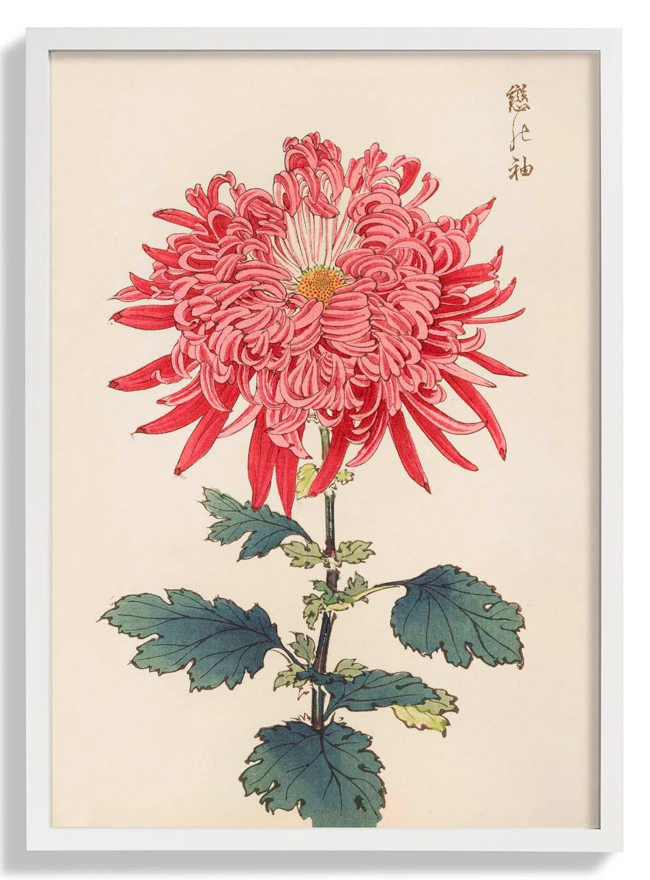 Keika hyakugiku Pl.24 by Keika Hosegawa - Image 5