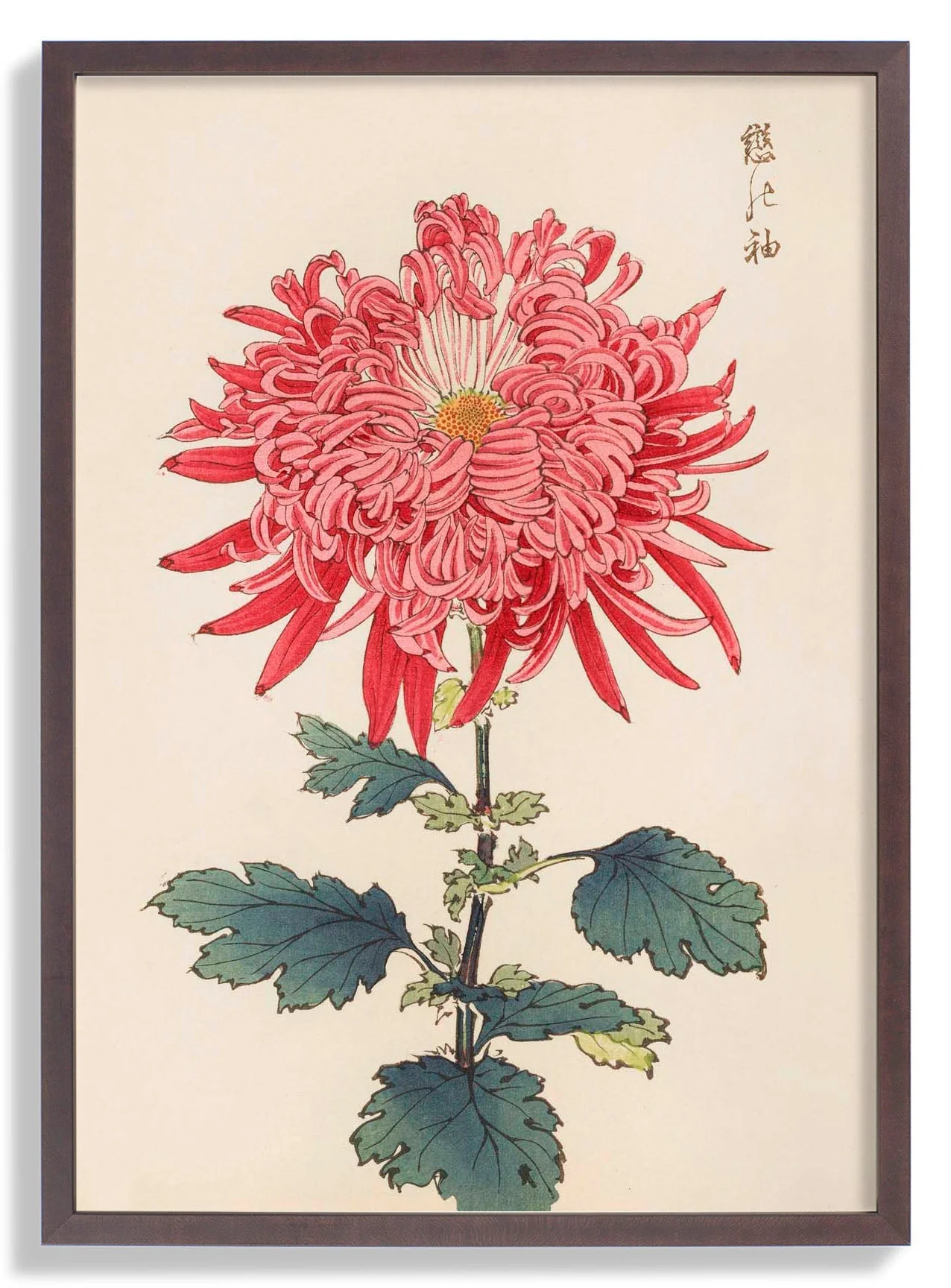 Keika hyakugiku Pl.24 by Keika Hosegawa - Image 6