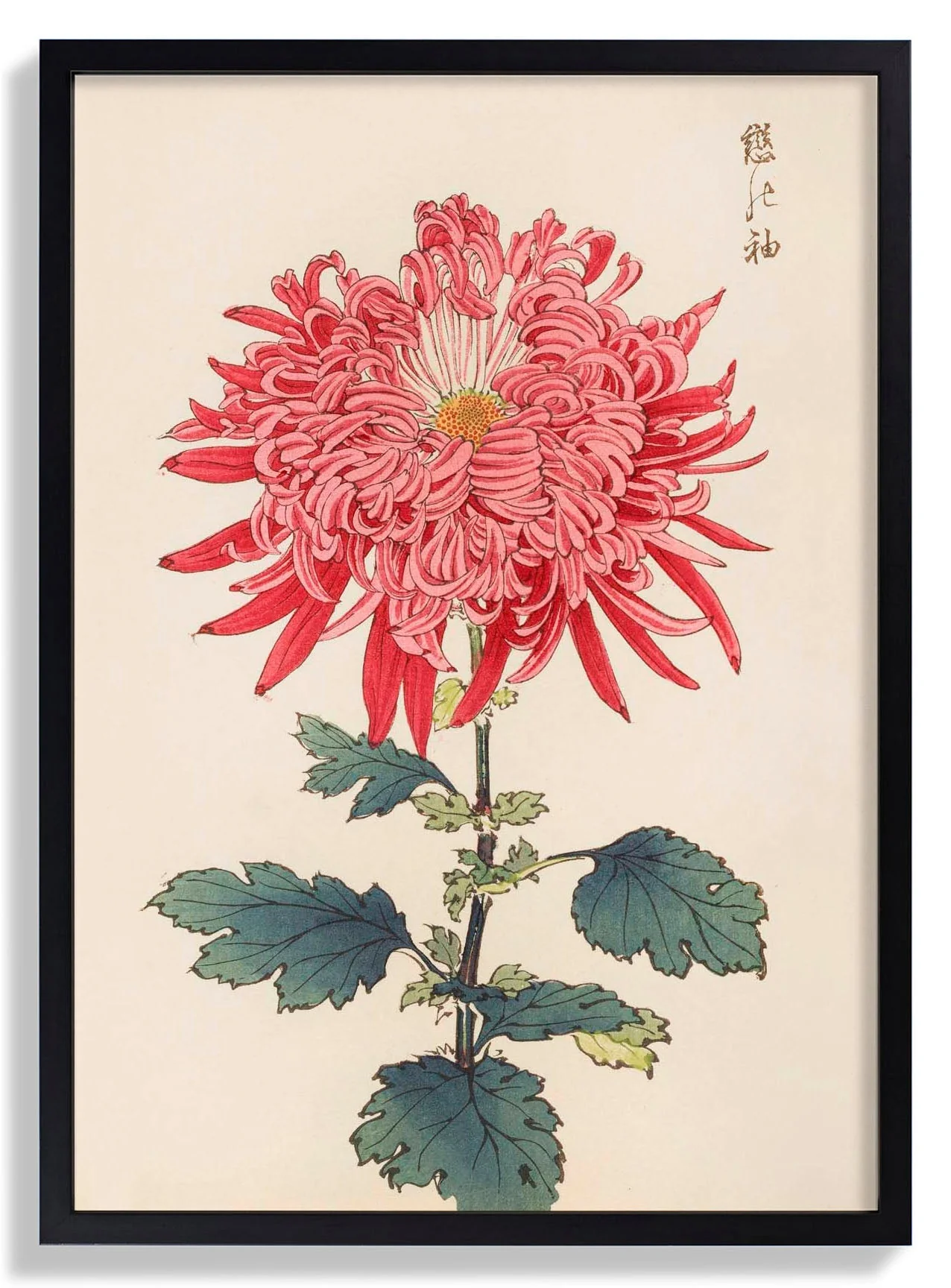 Keika hyakugiku Pl.24 by Keika Hosegawa - Image 7