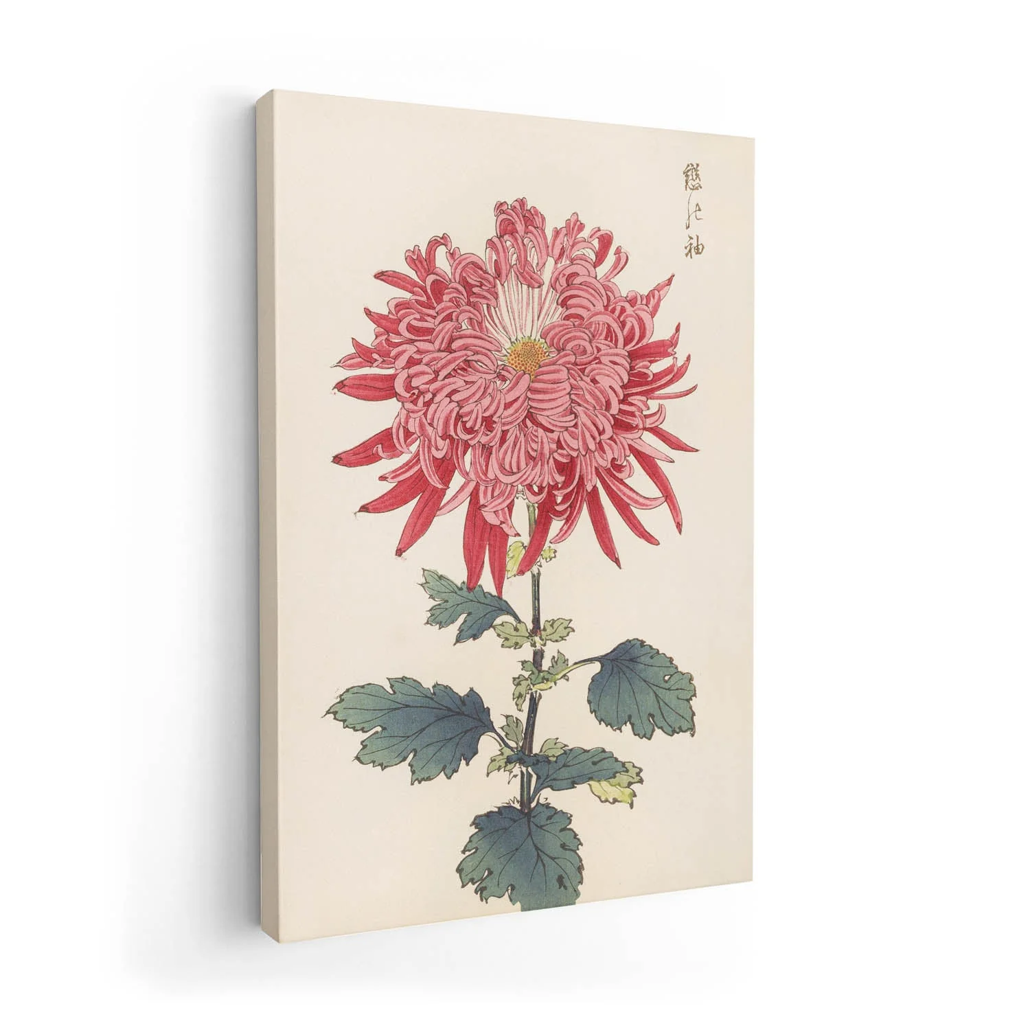 Keika hyakugiku Pl.24 by Keika Hosegawa - Image 7