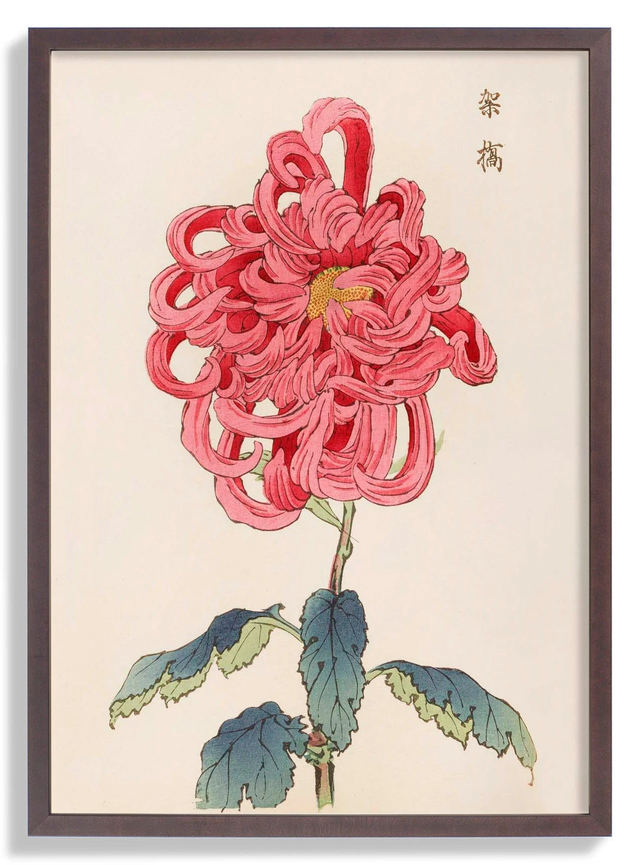 Keika hyakugiku Pl.25 by Keika Hosegawa - Image 6