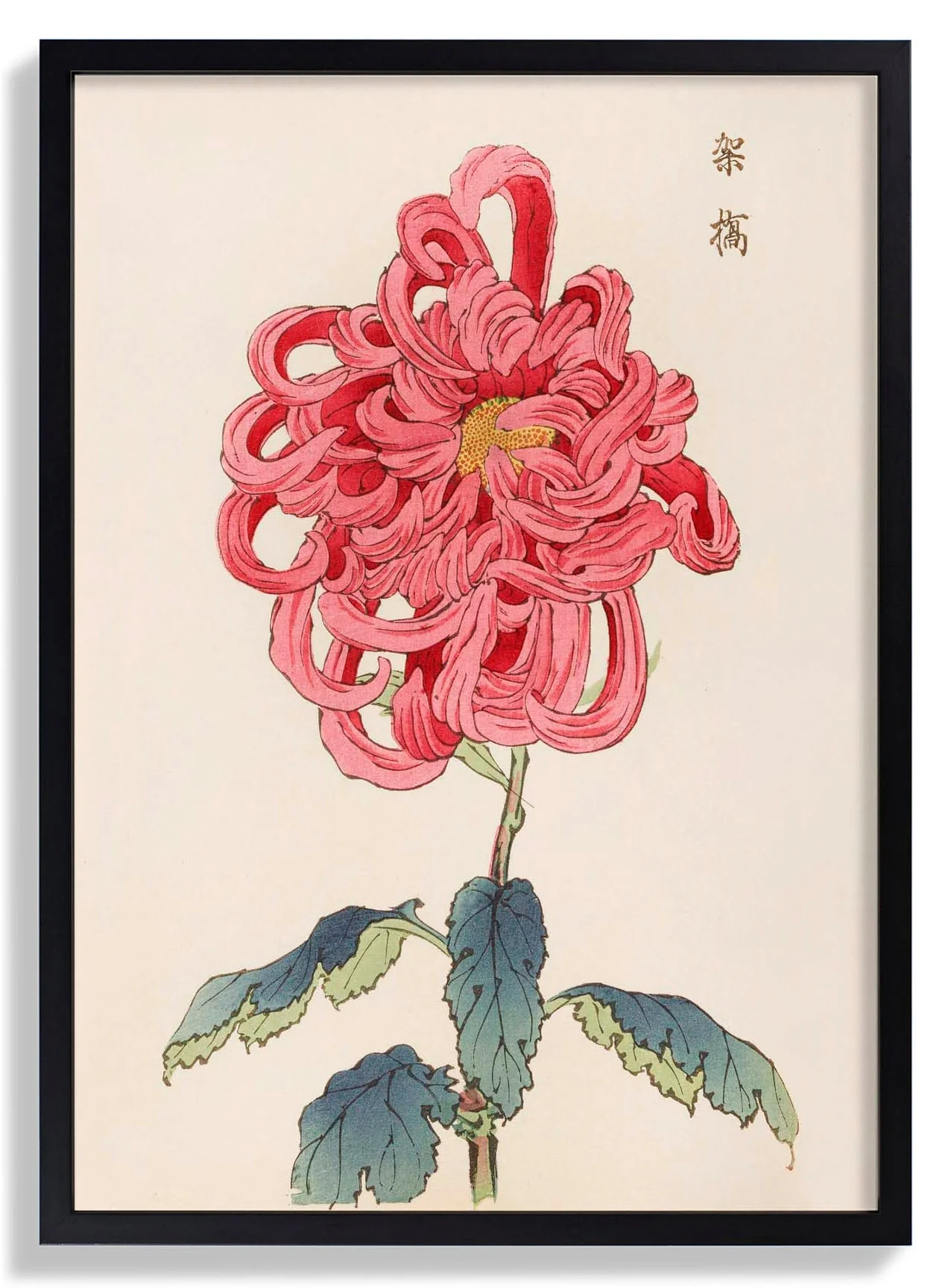 Keika hyakugiku Pl.25 by Keika Hosegawa - Image 7