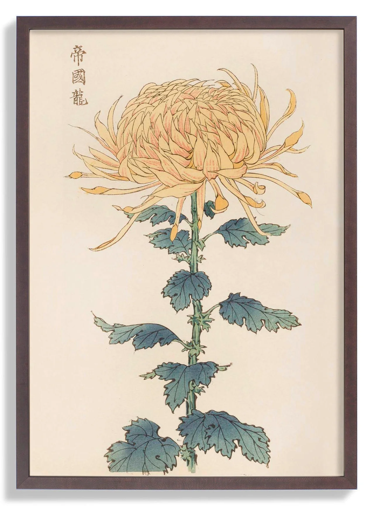 Keika hyakugiku Pl.26 by Keika Hosegawa - Image 6