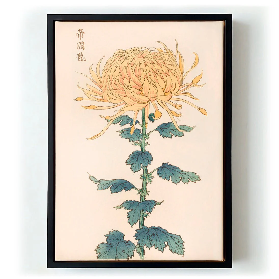 Keika hyakugiku Pl.26 by Keika Hosegawa - Image 5