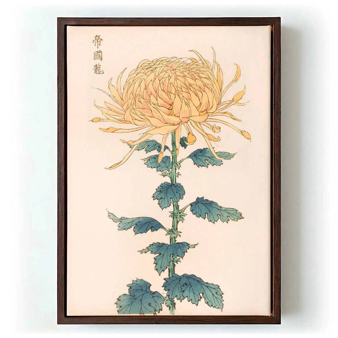 Keika hyakugiku Pl.26 by Keika Hosegawa - Image 6