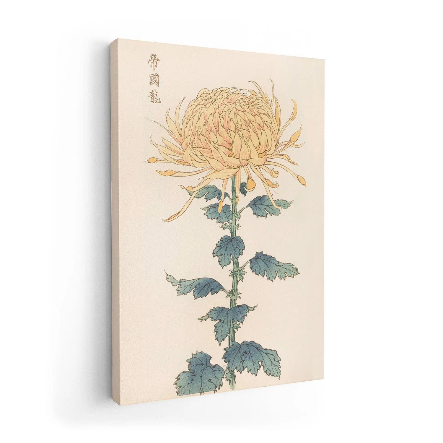 Keika hyakugiku Pl.26 by Keika Hosegawa - Image 7