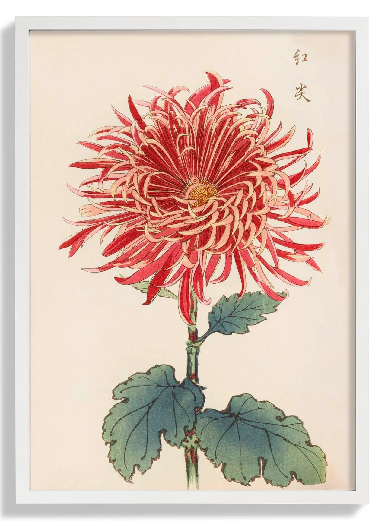Keika hyakugiku Pl.27 by Keika Hosegawa - Image 5