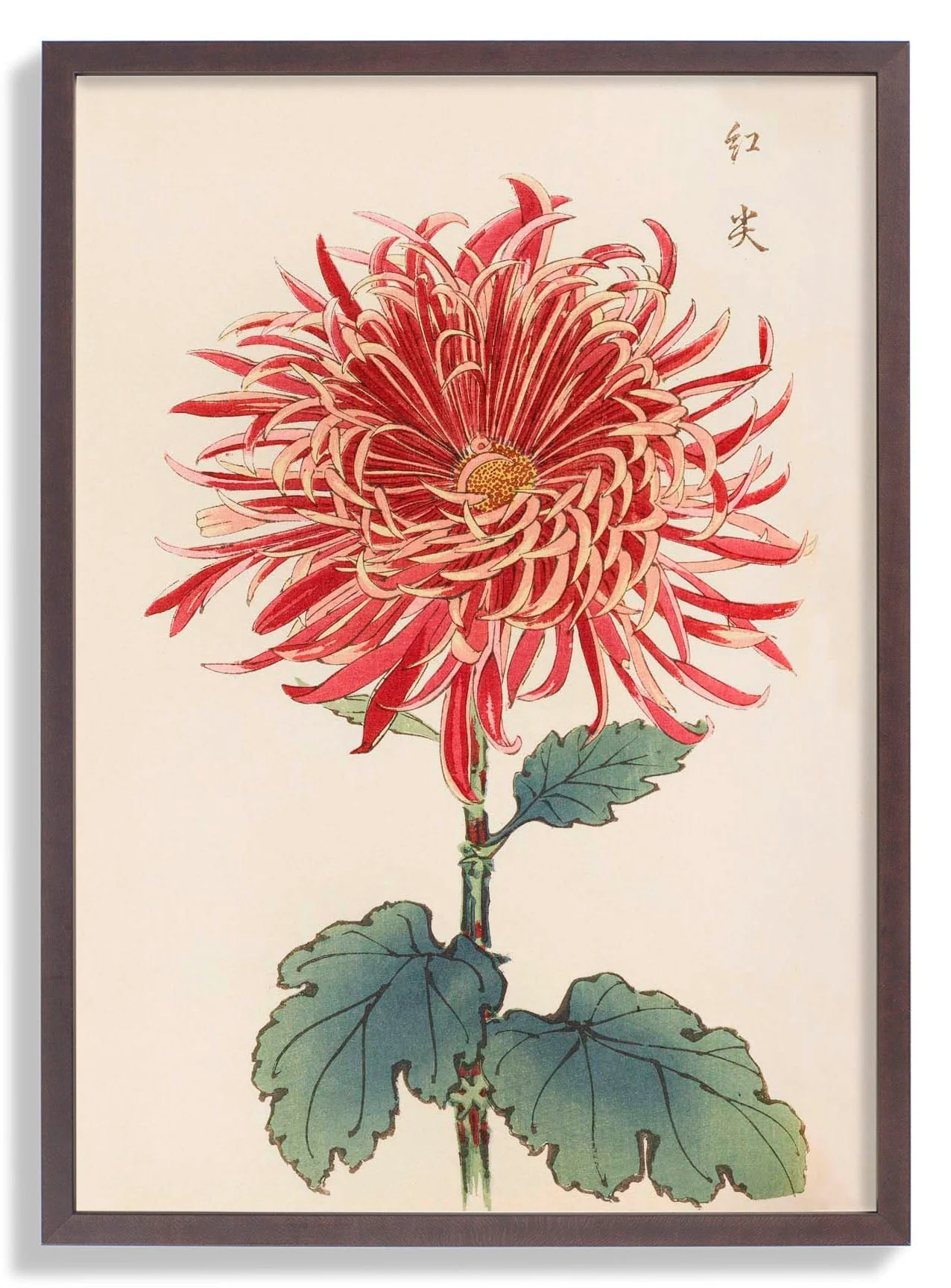 Keika hyakugiku Pl.27 by Keika Hosegawa - Image 6
