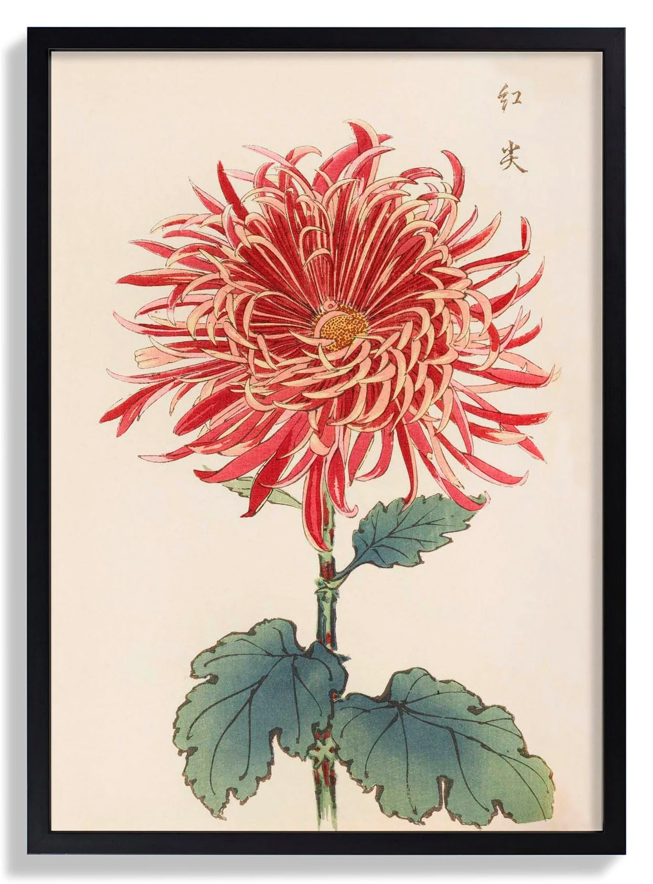 Keika hyakugiku Pl.27 by Keika Hosegawa - Image 7