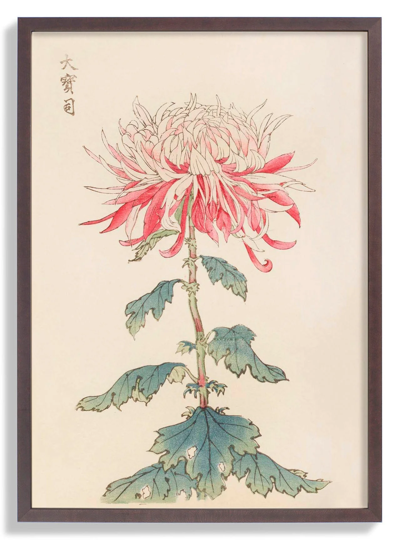Keika hyakugiku Pl.28 by Keika Hosegawa - Image 6