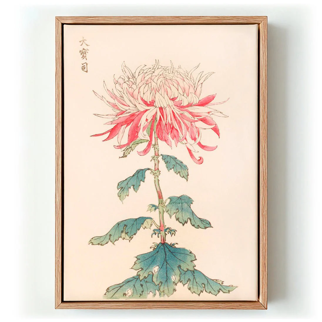 Keika hyakugiku Pl.28 by Keika Hosegawa