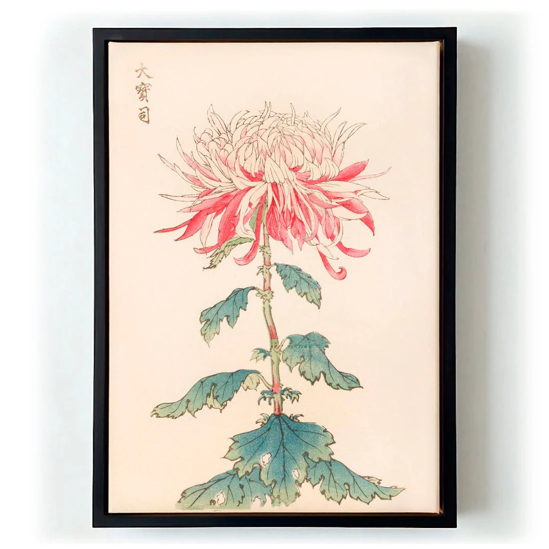 Keika hyakugiku Pl.28 by Keika Hosegawa - Image 5