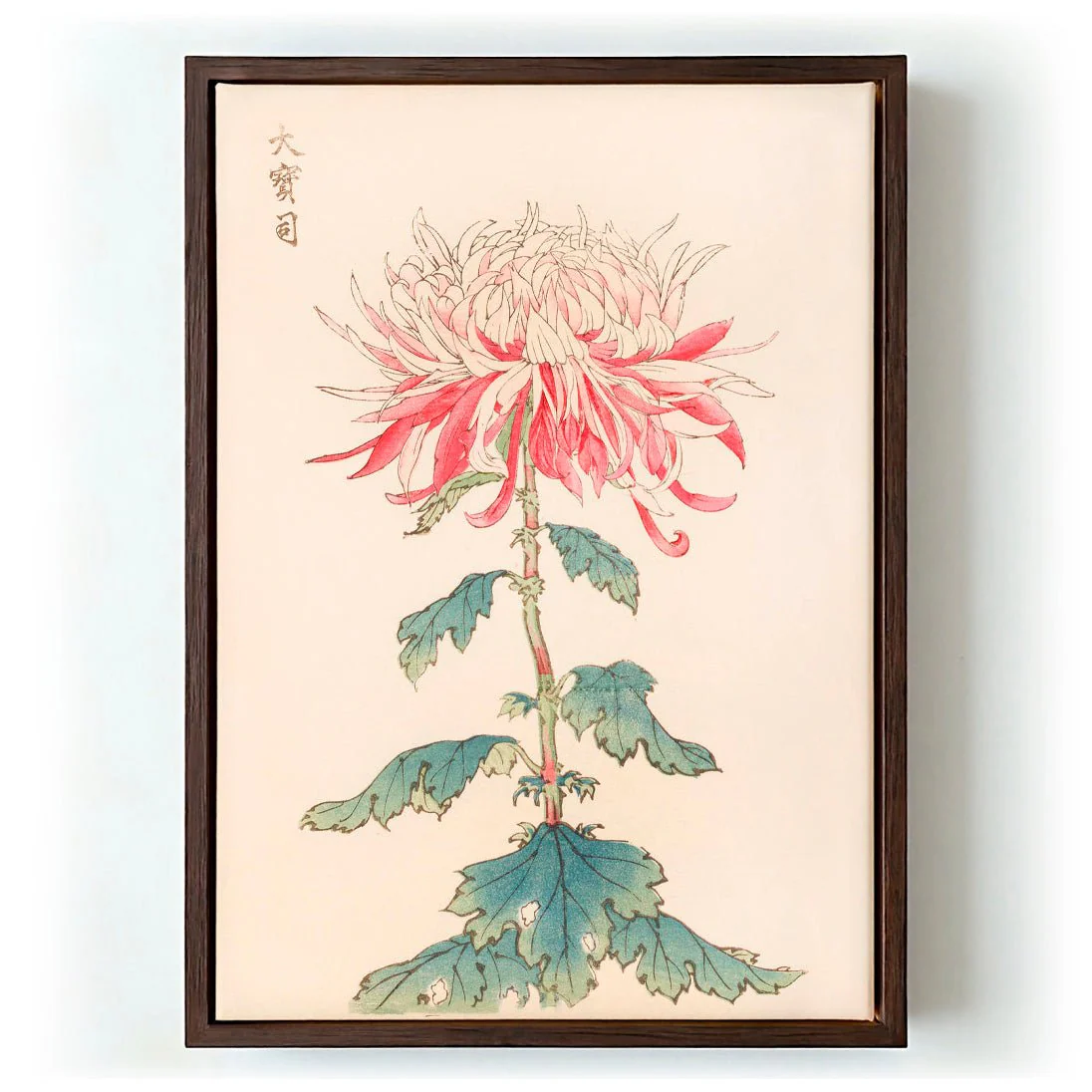 Keika hyakugiku Pl.28 by Keika Hosegawa - Image 6