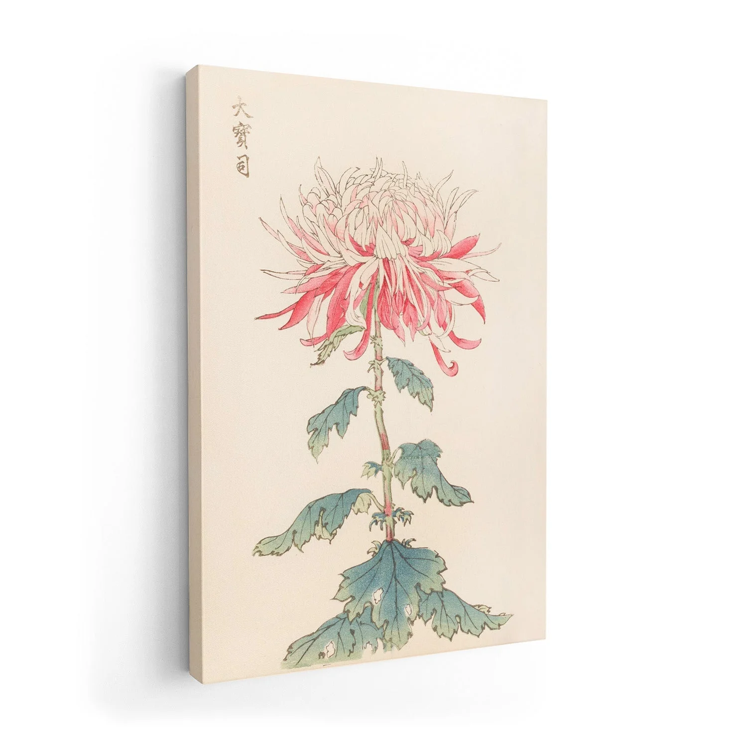 Keika hyakugiku Pl.28 by Keika Hosegawa - Image 7
