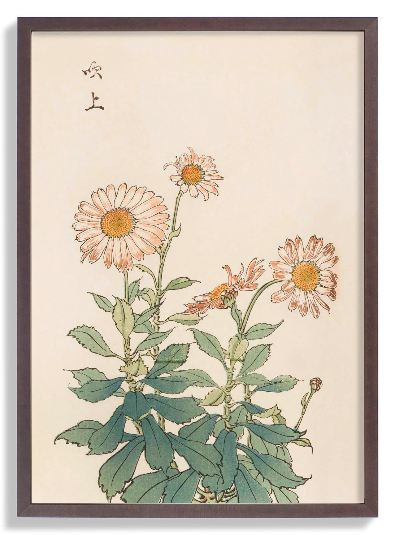 Keika hyakugiku Pl.30 by Keika Hosegawa - Image 6