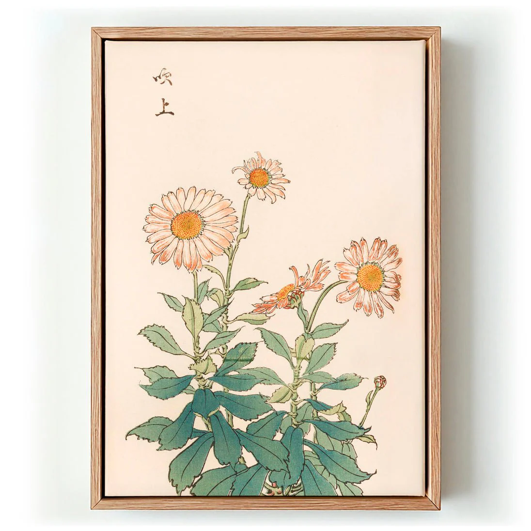 Keika hyakugiku Pl.30 by Keika Hosegawa