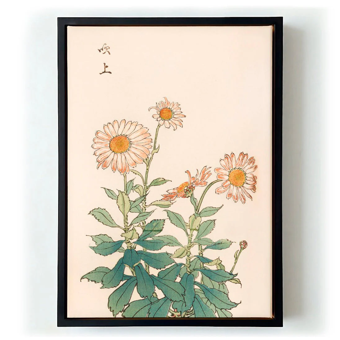 Keika hyakugiku Pl.30 by Keika Hosegawa - Image 5