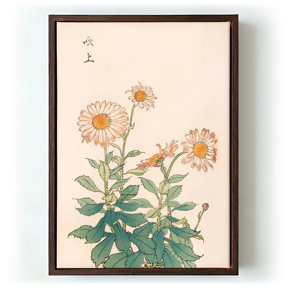 Keika hyakugiku Pl.30 by Keika Hosegawa - Image 6