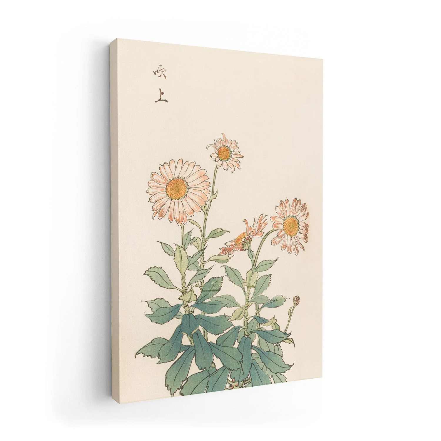 Keika hyakugiku Pl.30 by Keika Hosegawa - Image 7