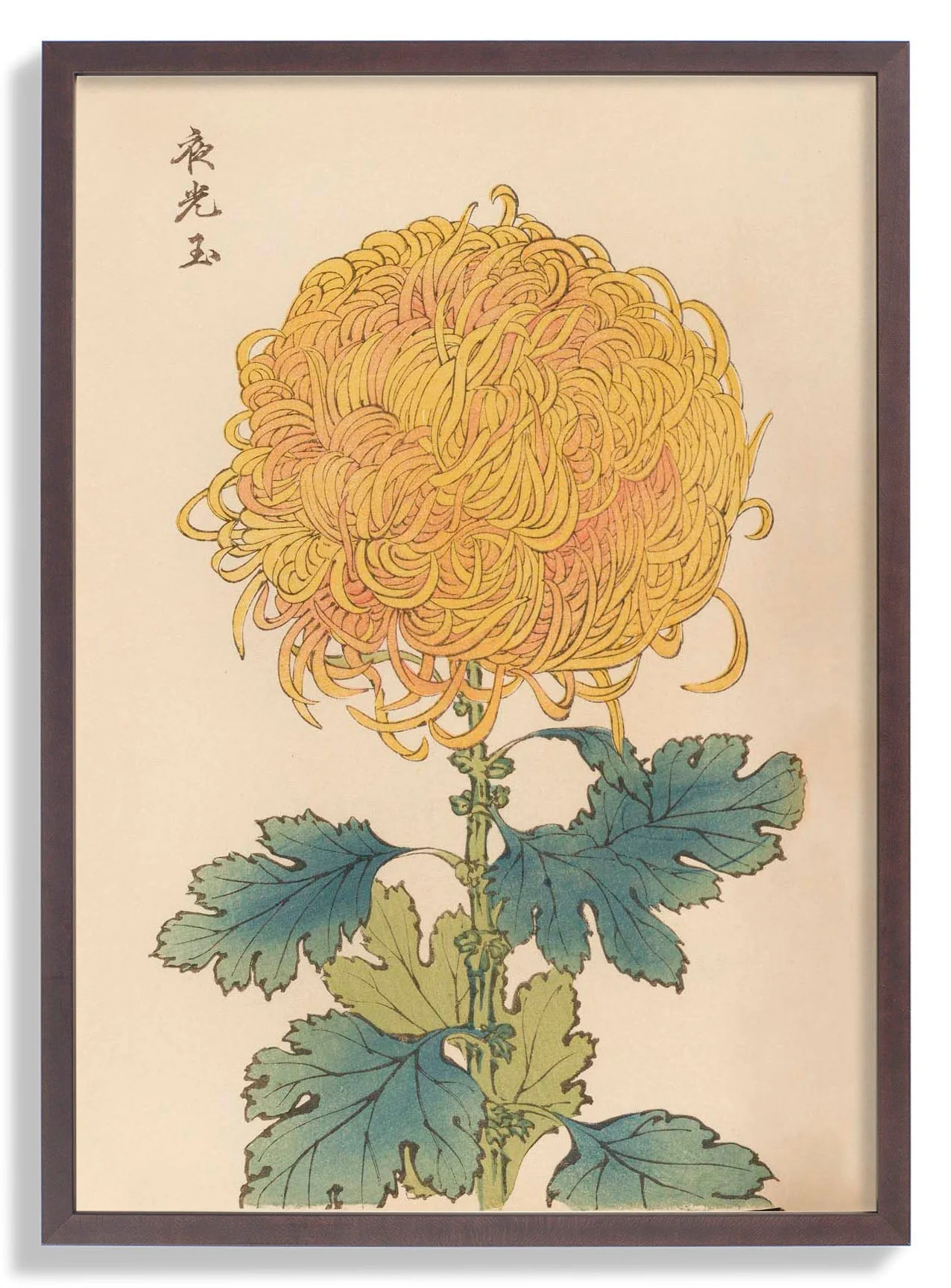Keika hyakugiku Pl.31 by Keika Hosegawa - Image 6