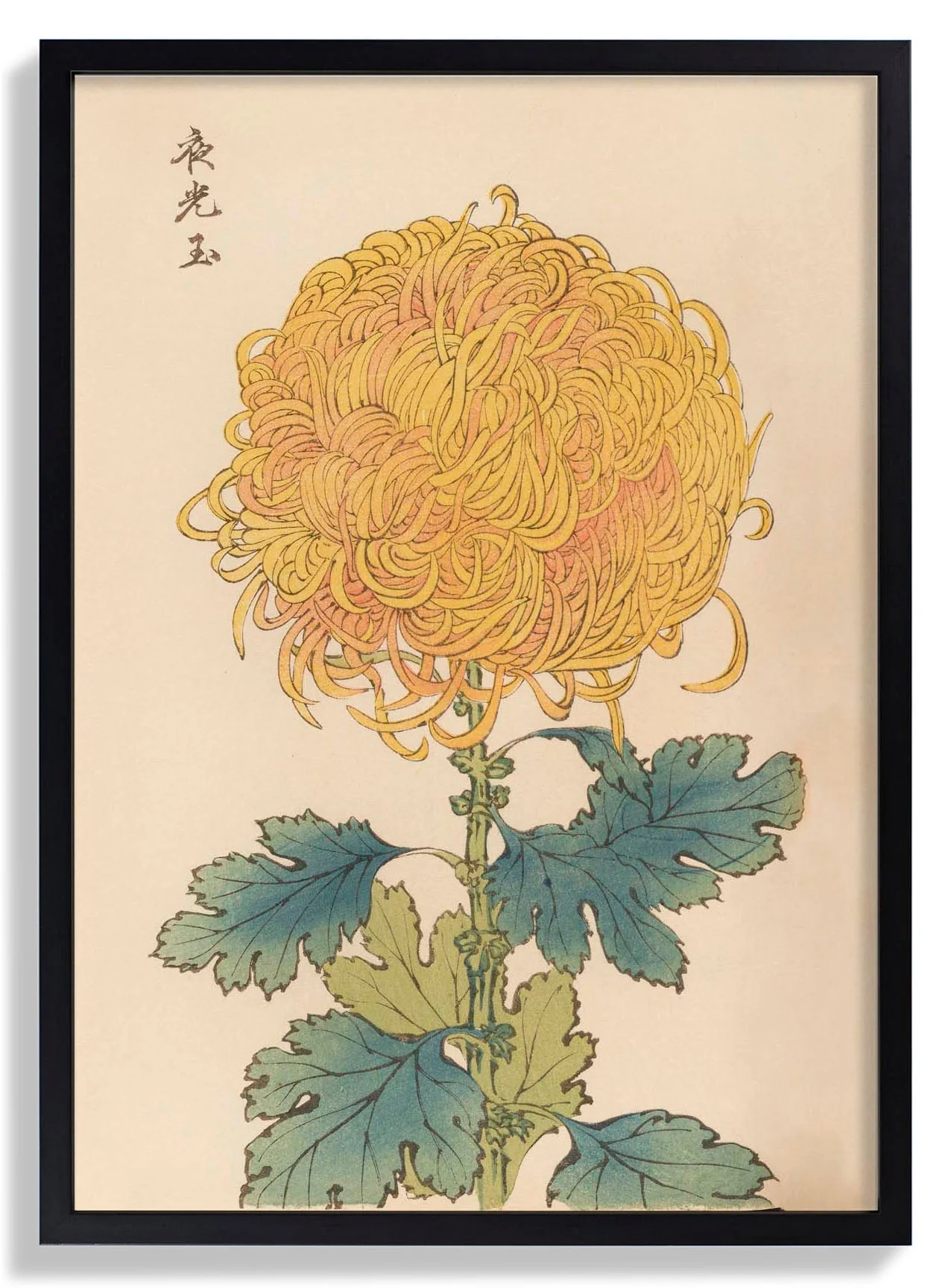 Keika hyakugiku Pl.31 by Keika Hosegawa - Image 7