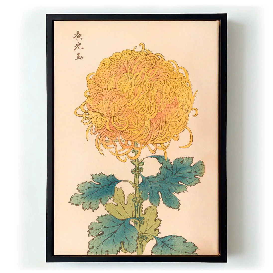 Keika hyakugiku Pl.31 by Keika Hosegawa - Image 5