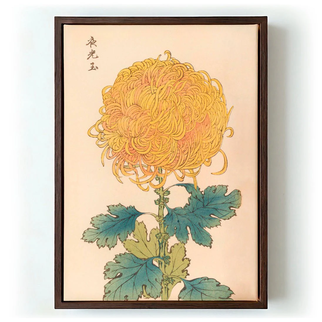 Keika hyakugiku Pl.31 by Keika Hosegawa - Image 6