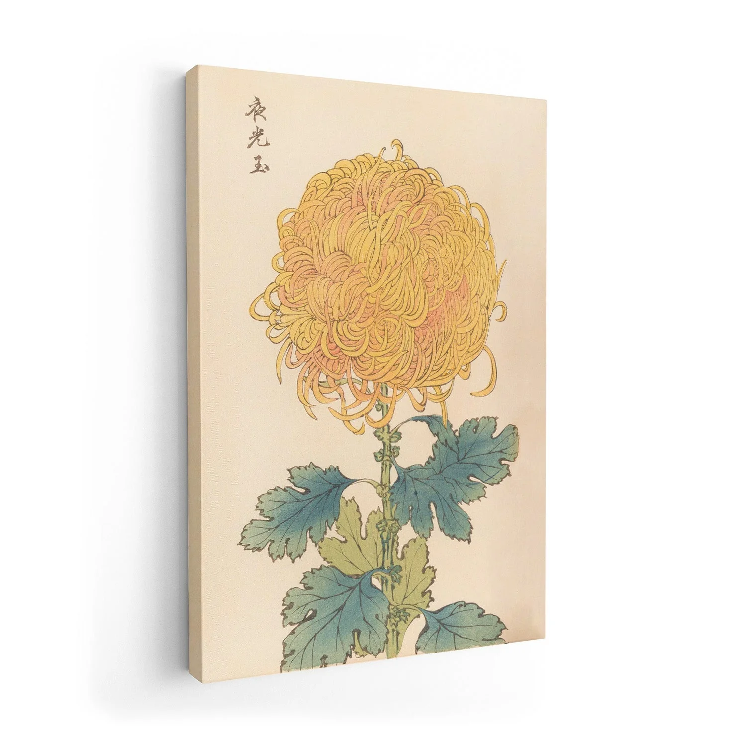 Keika hyakugiku Pl.31 by Keika Hosegawa - Image 7