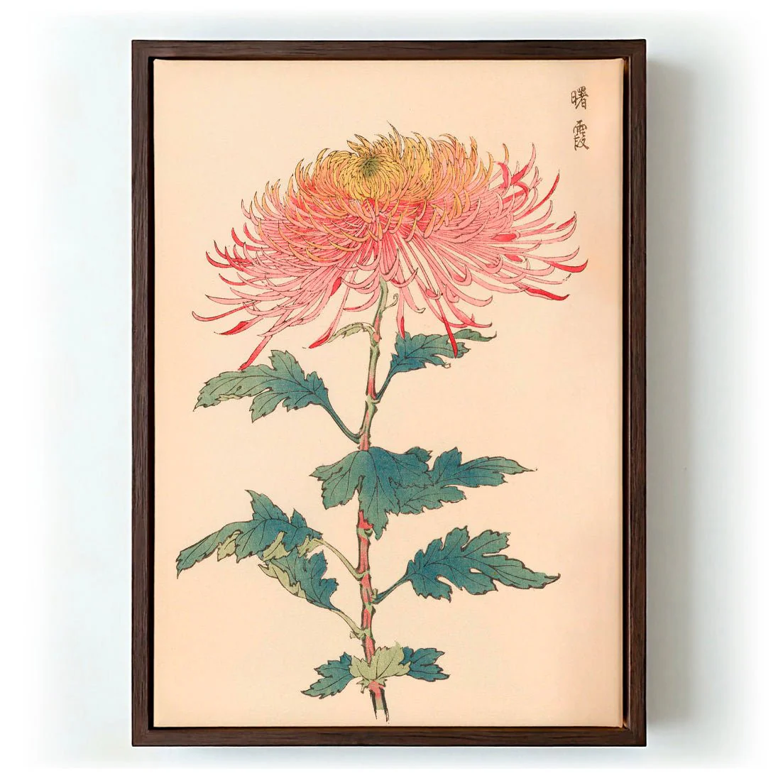 Keika hyakugiku Pl.32 by Keika Hosegawa - Image 6