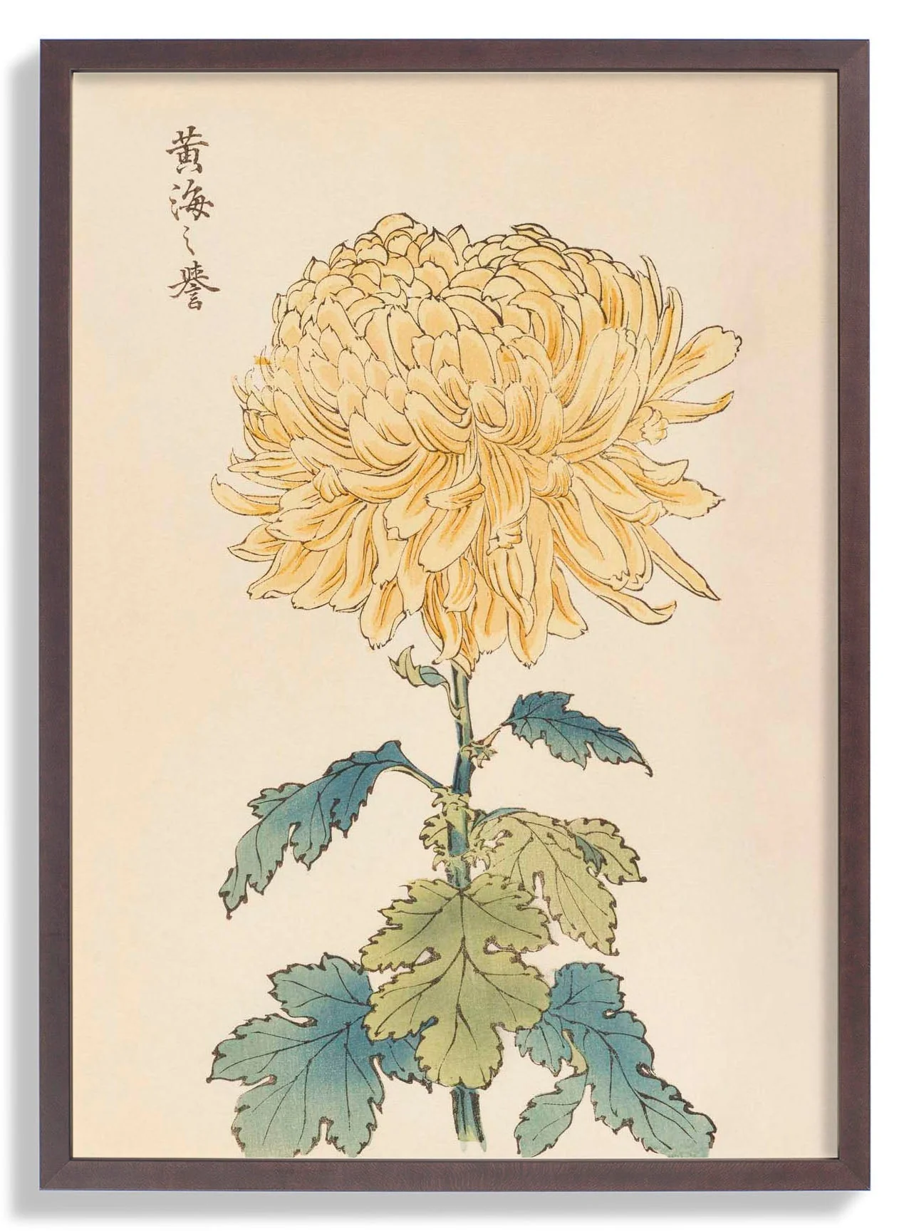Keika hyakugiku Pl.33 by Keika Hosegawa - Image 6