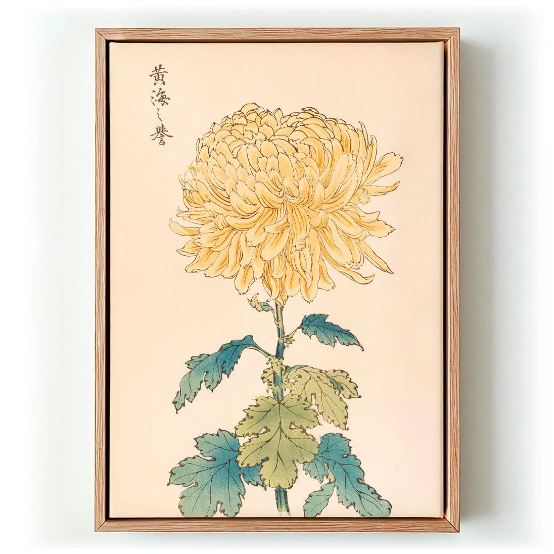 Keika hyakugiku Pl.33 by Keika Hosegawa