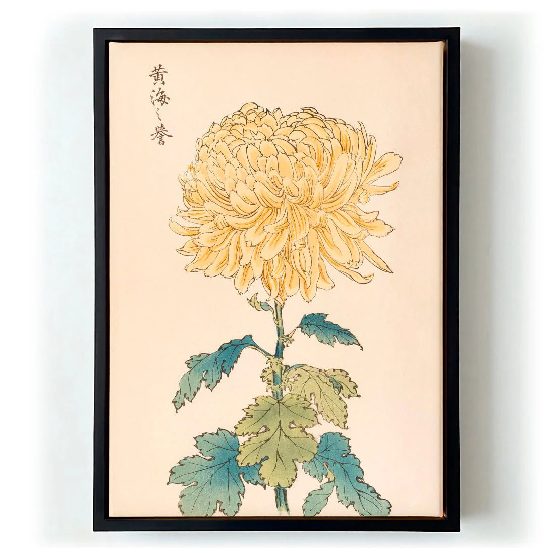 Keika hyakugiku Pl.33 by Keika Hosegawa - Image 5