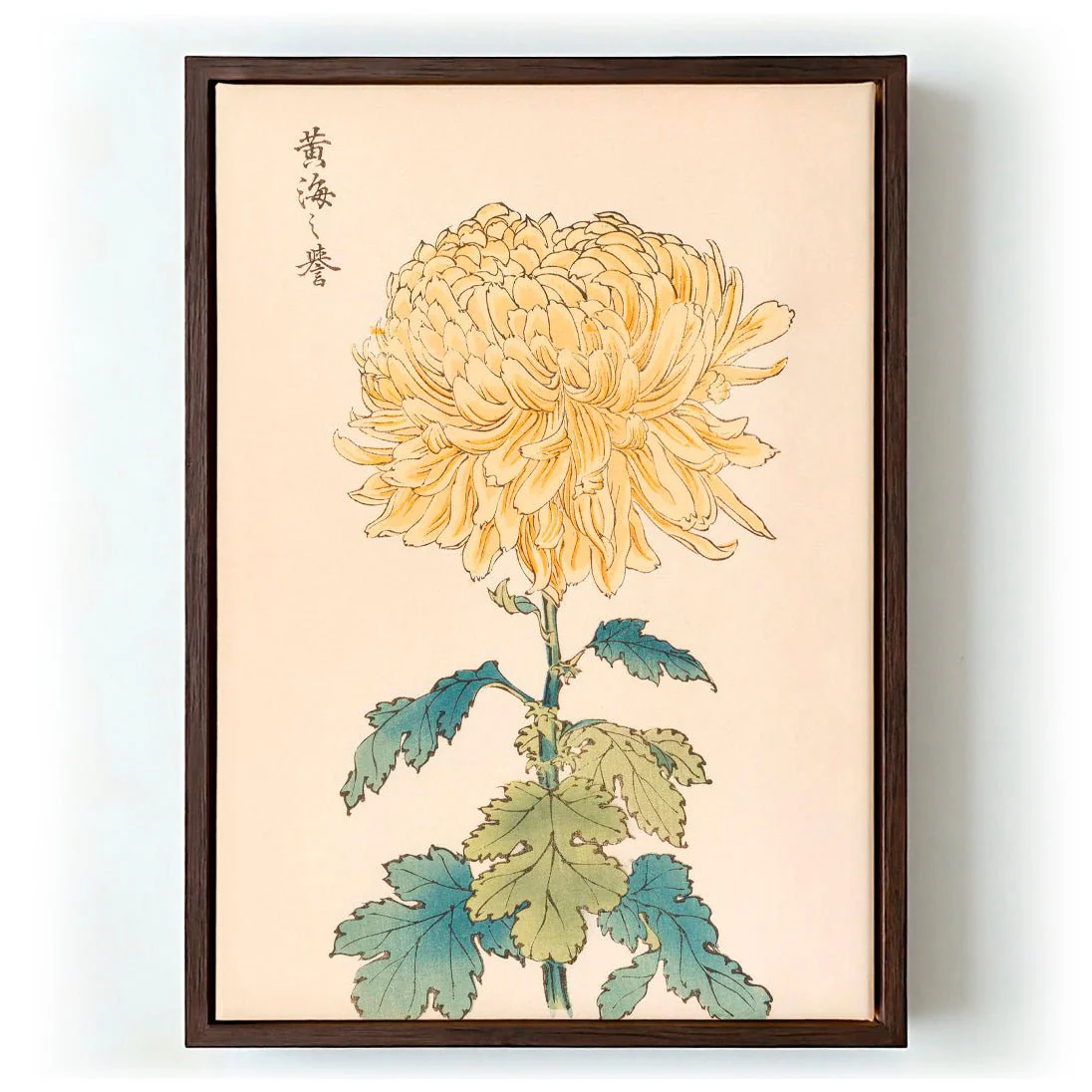 Keika hyakugiku Pl.33 by Keika Hosegawa - Image 6