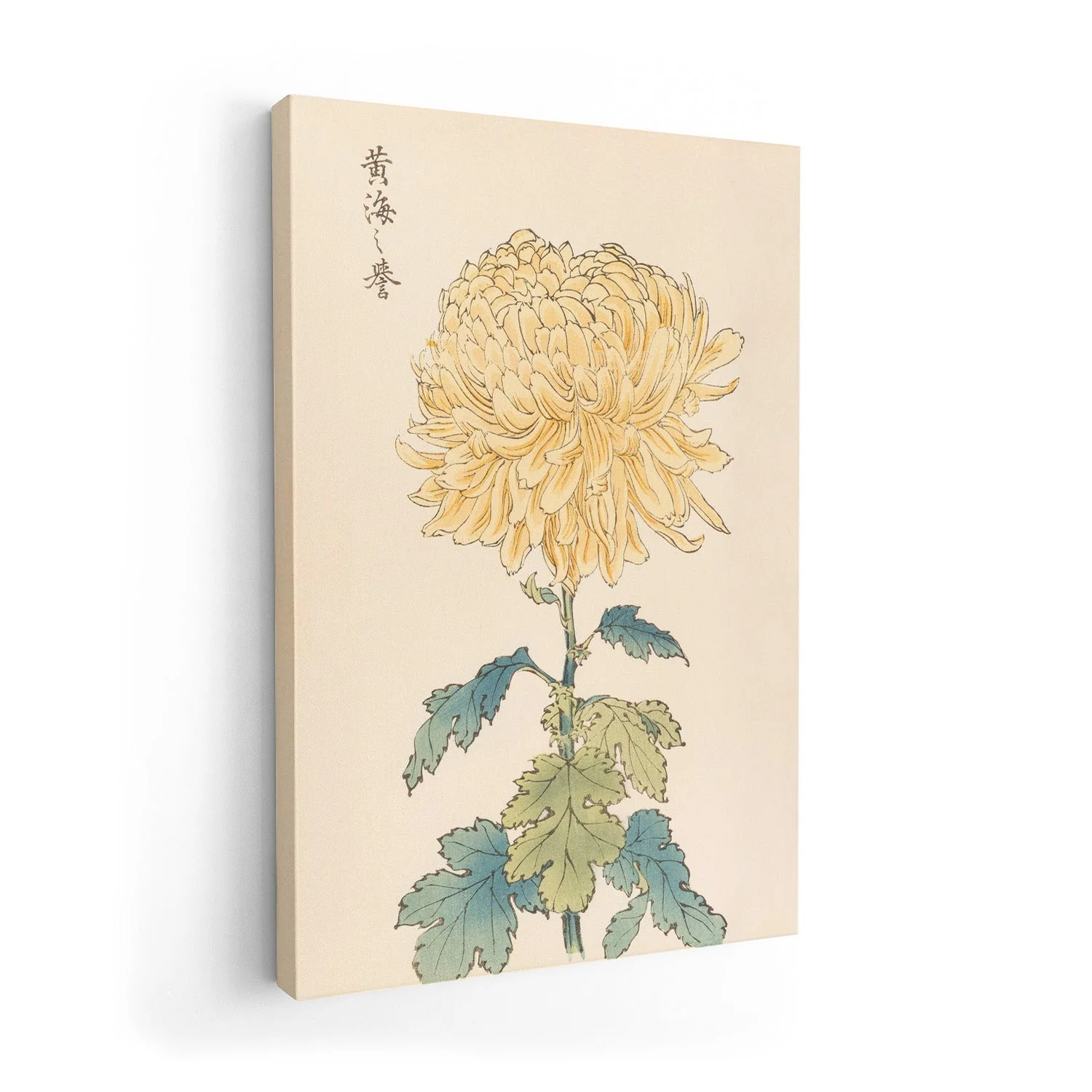 Keika hyakugiku Pl.33 by Keika Hosegawa - Image 7