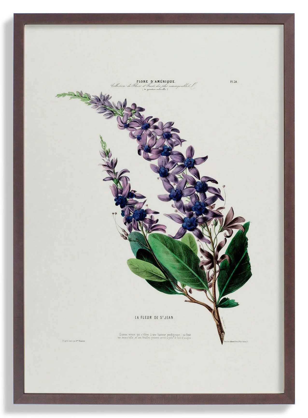 La Fleur De St Jean - Image 7