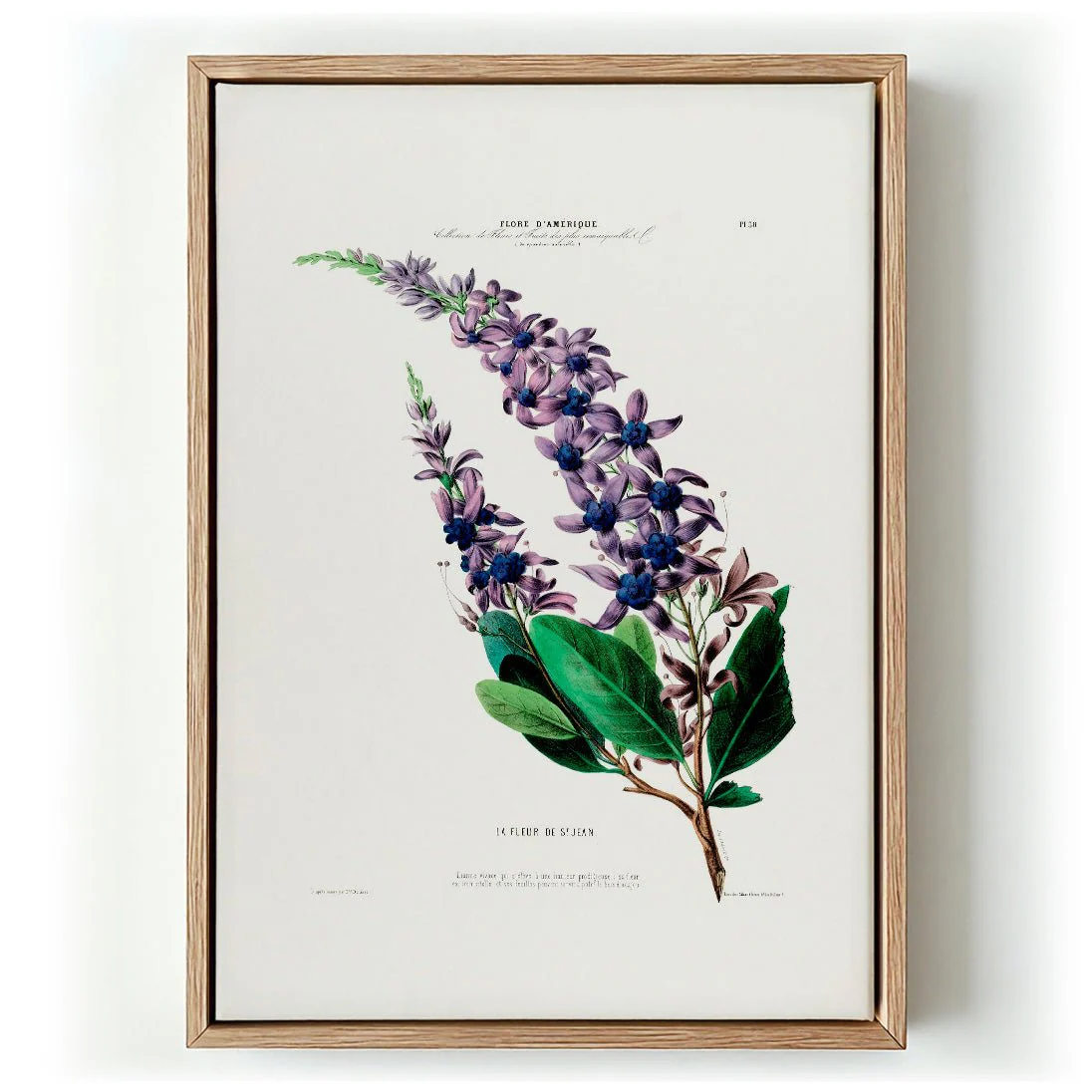 La Fleur De St Jean