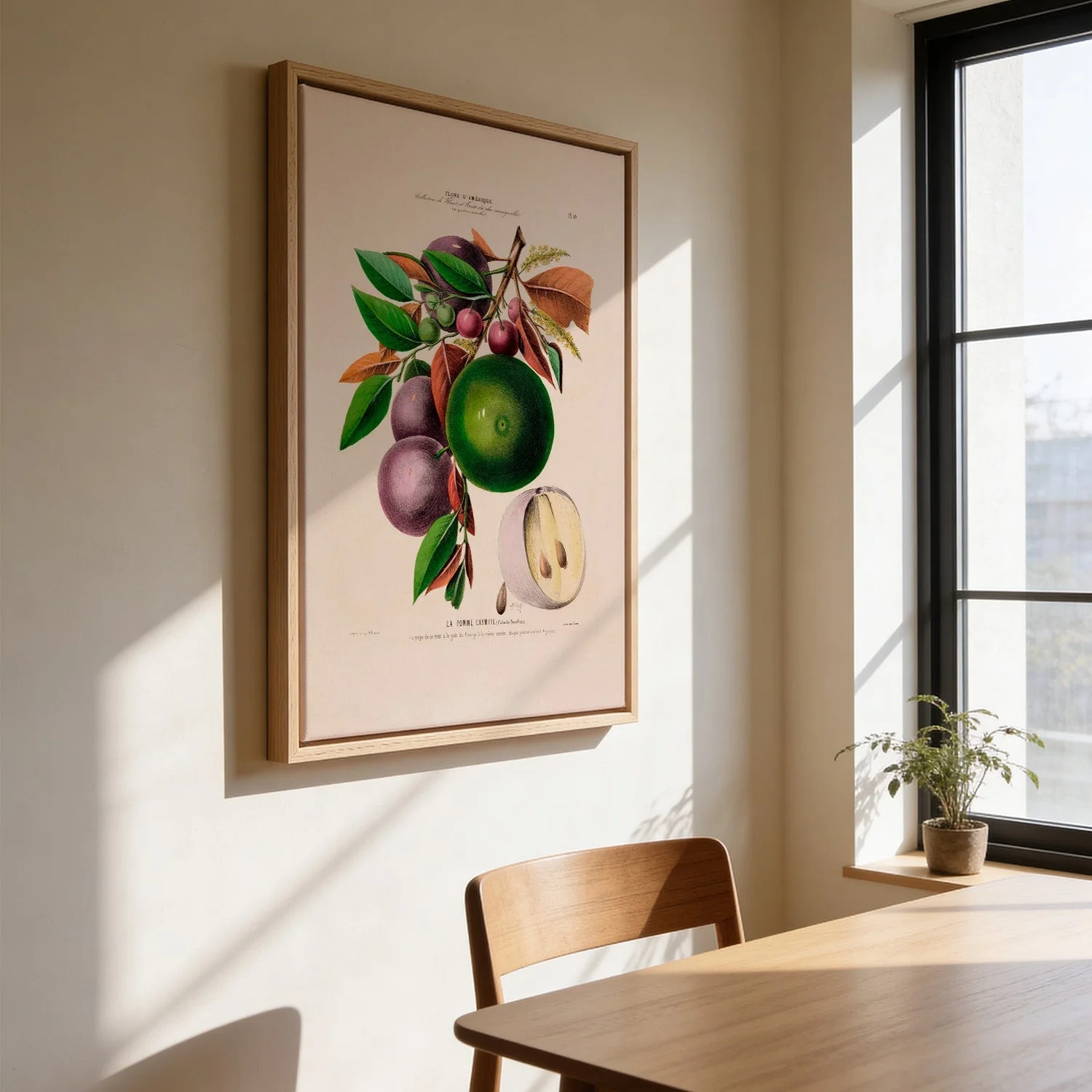 La Pomme Caymite - Image 3