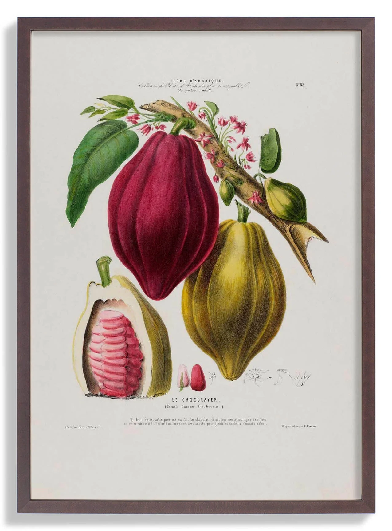 Le Chocolayer - Image 7