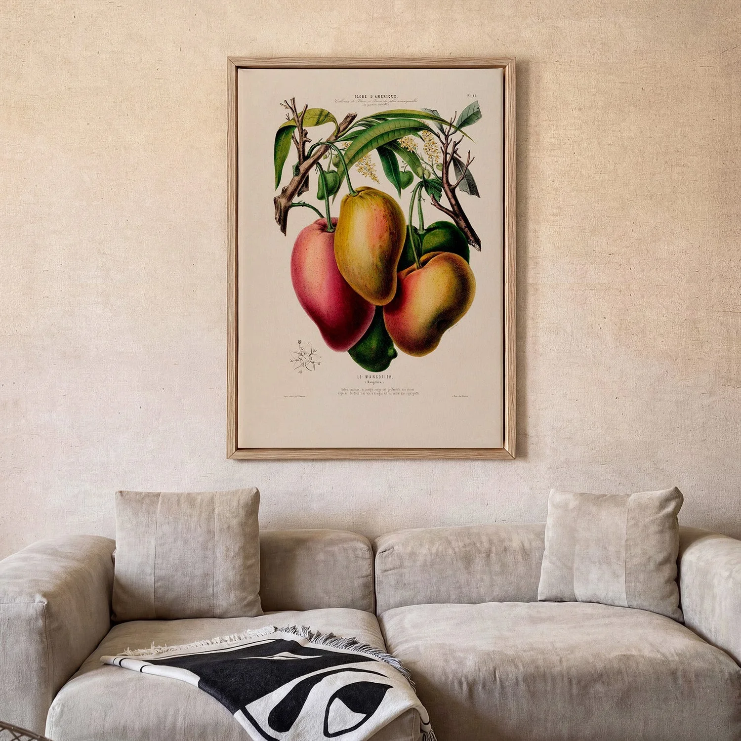 Le Mangotier - Image 2