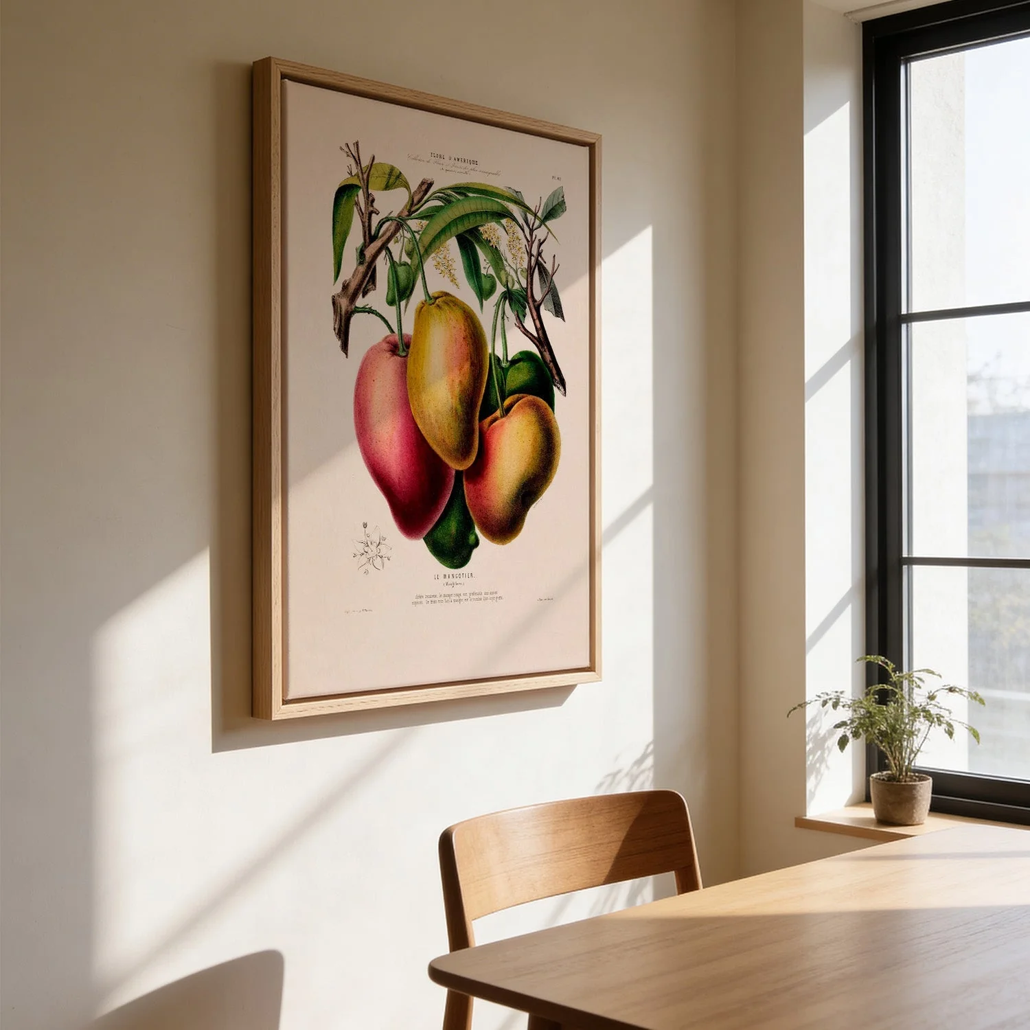 Le Mangotier - Image 3