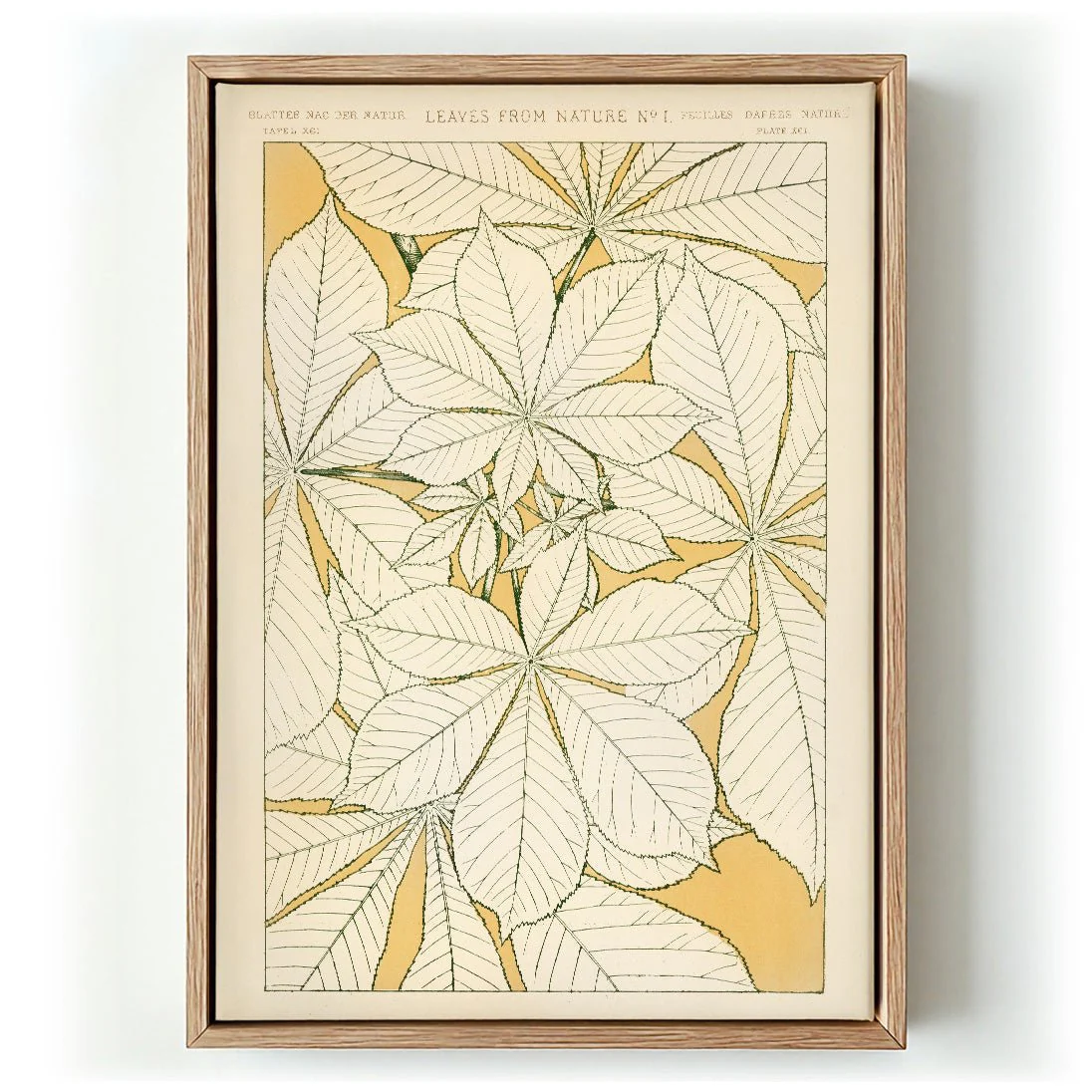 Leaves from Nature Nr 1 by Owen Jones